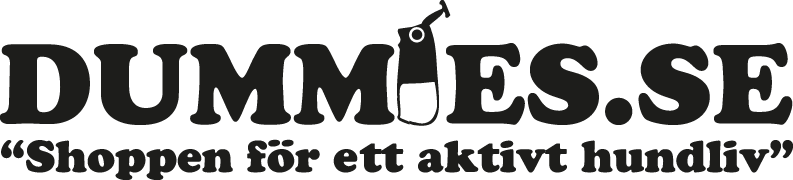 Dummies_se